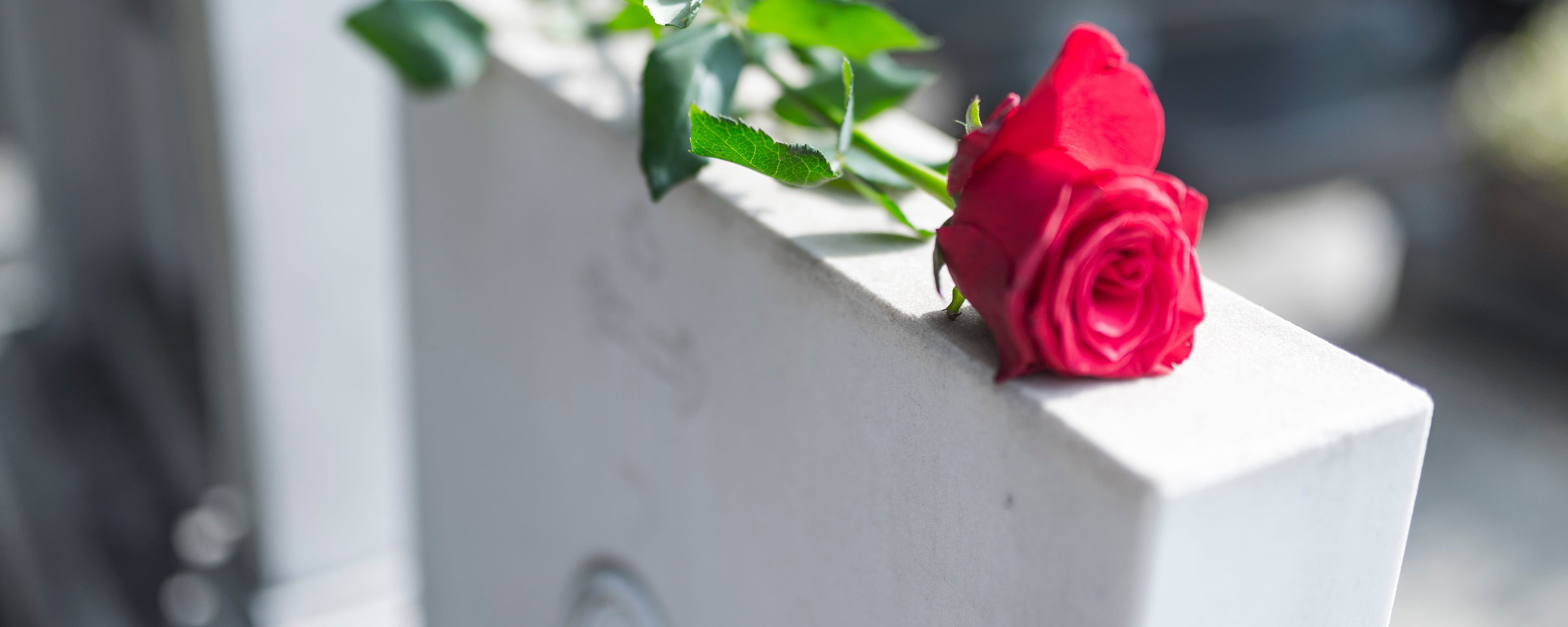 Headerbild Grab & Co