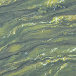 Material Foto - Picasso Granit
